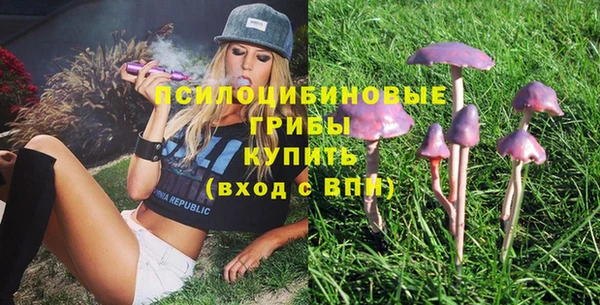 ГАЛЛЮЦИНОГЕННЫЕ ГРИБЫ Куйбышев