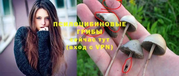 PSILOCYBIN Кукмор