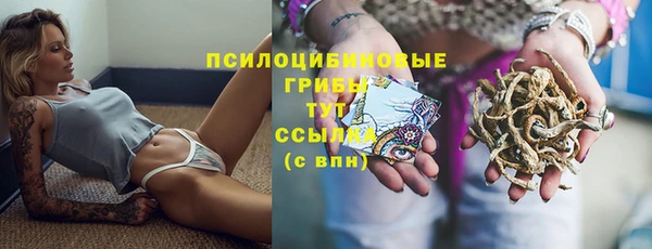 PSILOCYBIN Кукмор