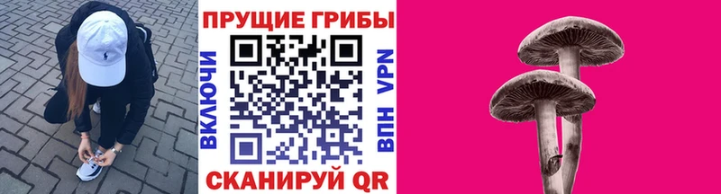 Купить Тверь Псилоцибиновые грибы Cubensis