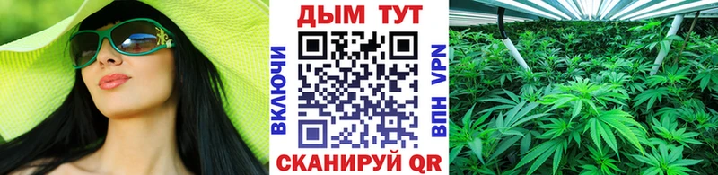 Купить  Тверь  Каннабис гибрид 